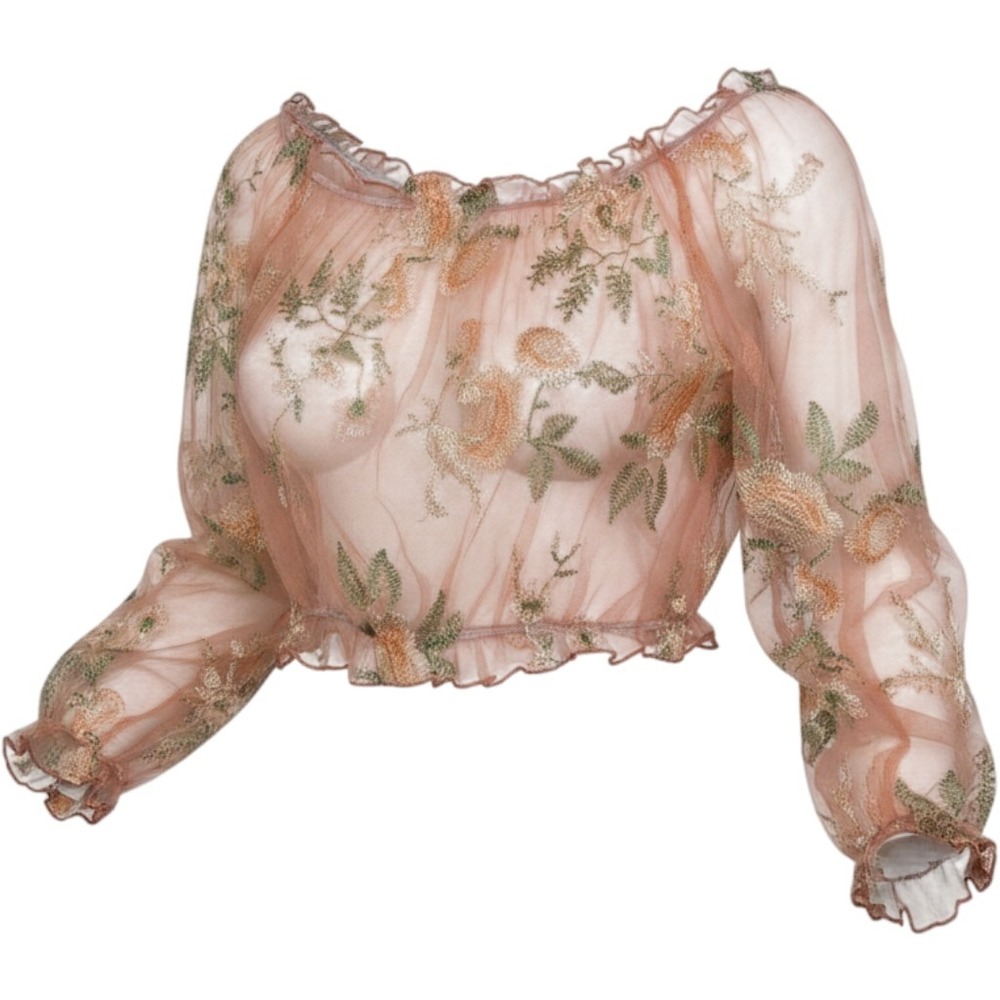 Unbranded Floral Embroidered Sheer Mesh Crop Top Medium Pink/Peach Boho